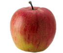 Apples at Fruit Ridge - Fuji Apple