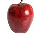 Apples at Fruit Ridge - Red Delicious Apple