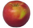 Apples at Fruit Ridge - Snow Sweet Apple
