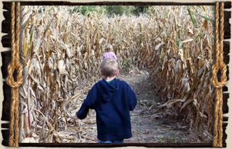 Corn Maze