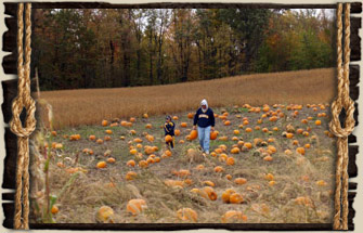 Upick Pumpkin Patch - Halloween jack-o-lanterns