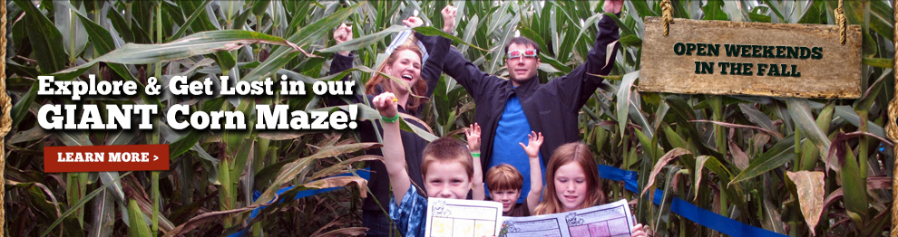 Giant Corn Maze - Kent County, MI