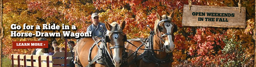 Horse-Drawn Hayrides - Kent County, MI